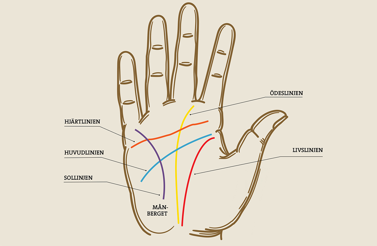 Handens-linjer.jpg