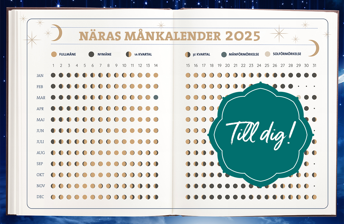 Månkalender för 2025 Ladda ner här